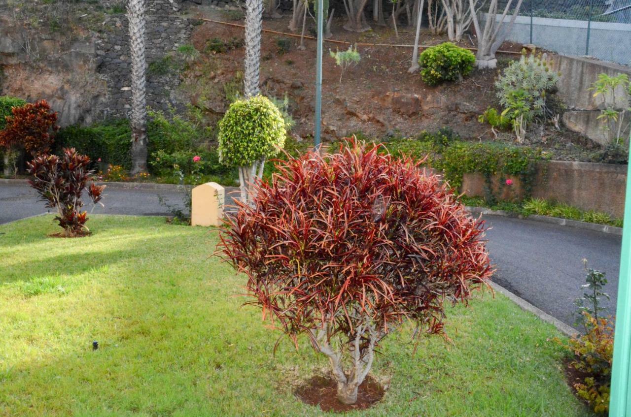 Vista Formosa Funchal Appartement Buitenkant foto